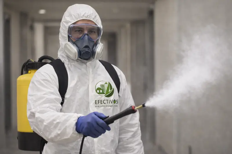 Proceso de fumigación de chinches con equipo profesional en CDMX