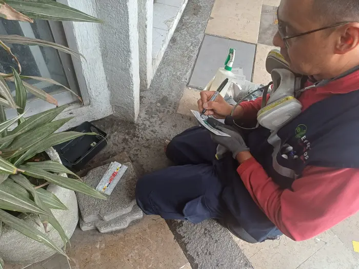 Técnico especialista en fumigación de cucarachas trabajando en inspección profesional