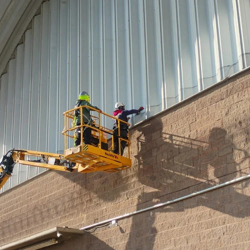 Control de palomas en CDMX para empresas, bodegas y edificios